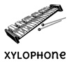 Xylophone Toddler