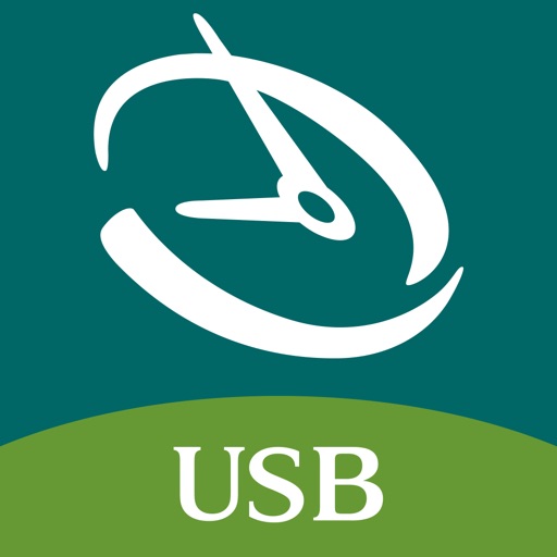 USB Business Mobile Icon