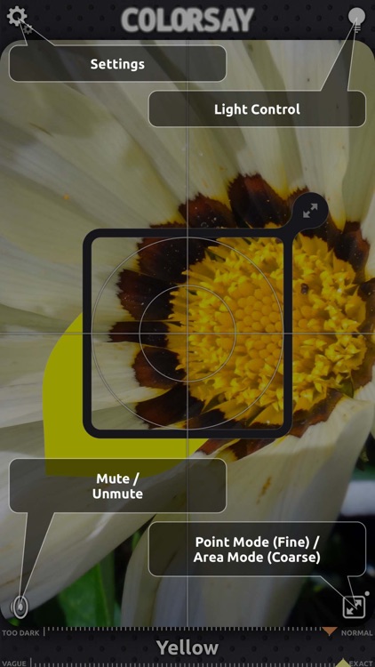 ColorSay screenshot-4
