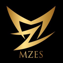 MZES（エムゼス）