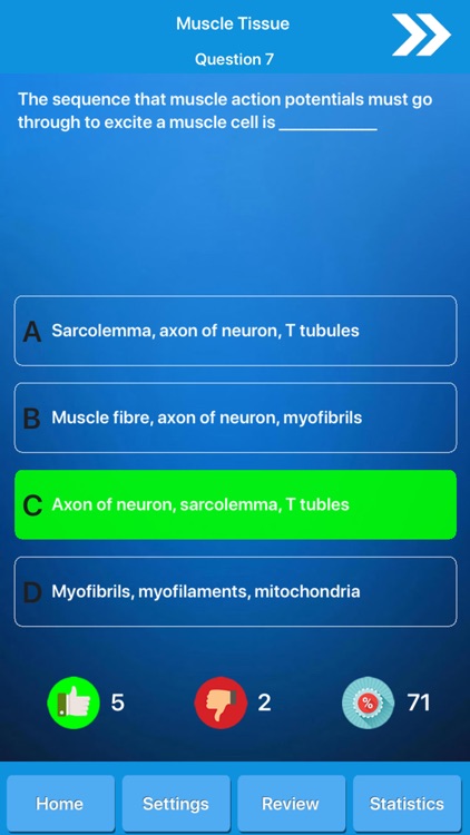 Muscle System Anatomy screenshot-4