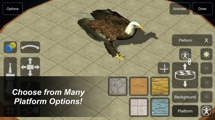 Eagle Mannequin screenshot-5