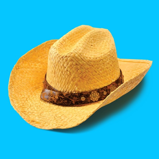 New Country 96.1 THE TON Download