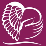 CareTeam App