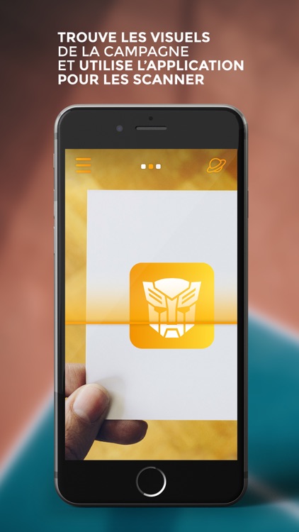 Bumblebee Experience