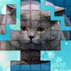 PicPu Cat Puzzle