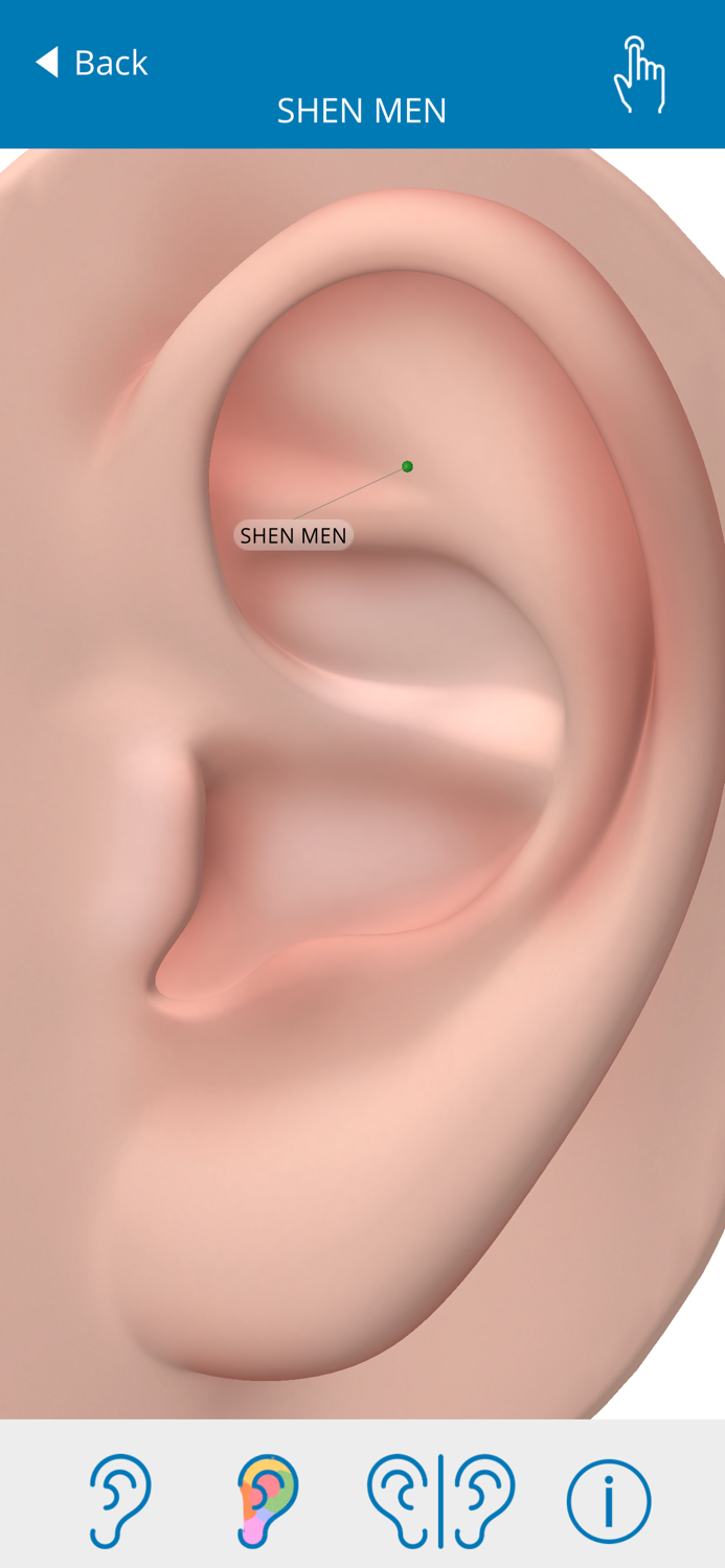 Auriculo 360 - The Living Ear