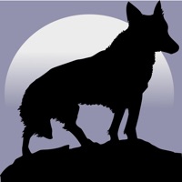 Wolf Survival Adventure 3D pour PC
