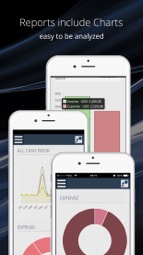 AKUN.biz Online Cash Book Captura de tela 4