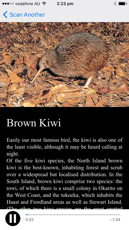 NZ Bird Calls