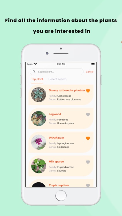 Plant Identifier - FindPlant