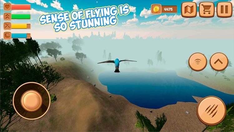 Swallow Bird Simulator 3D