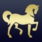 Riders Elite is a horse community app which lets you add your rider's profile, your horses, successes and much more
