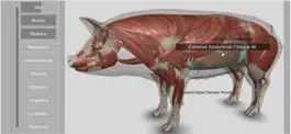 Game screenshot 3D Pig Anatomy apk