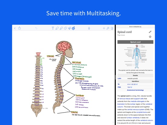 notability update