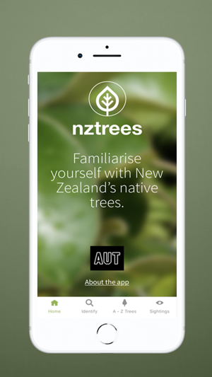 NZ Trees