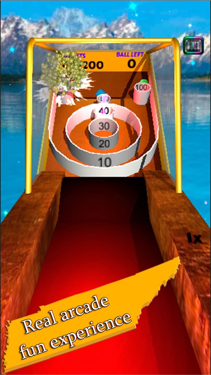 Skee Ball Flick - Hole King