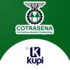 Cotrasena Kupi