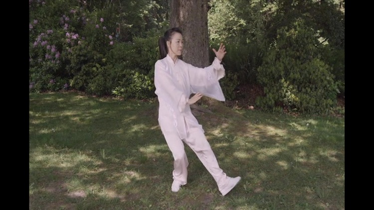 Tai Chi for Beginners 48 Form screenshot-3