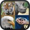 Endangered Animals SMART Guide is an app to explore the animals that are on verge of extinction