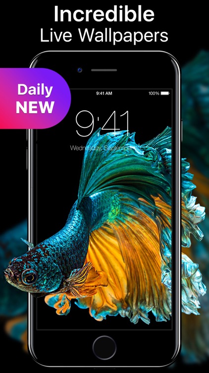 Live Wallpapers Now screenshot-0