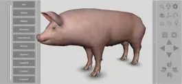 Game screenshot 3D Pig Anatomy mod apk