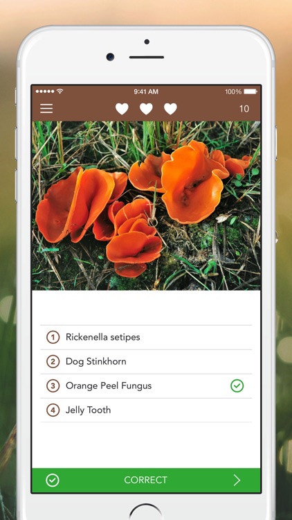 Mushrooms PRO - Hunting Safe screenshot-3