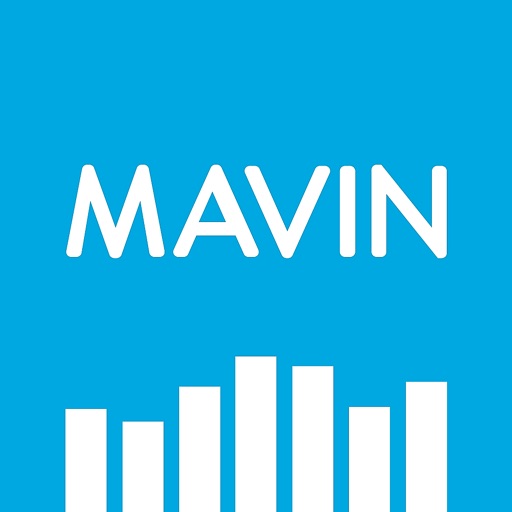 MAVIN Meters