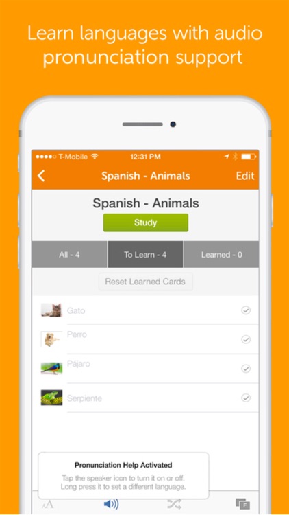 Flashcards+ by Chegg