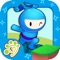 Play Ninja Mission
