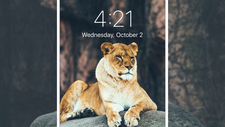 Fancy Wallpapers & Lock Screen screenshot-3