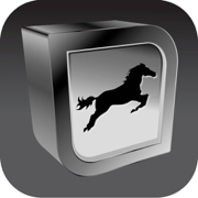 Equine Radiography