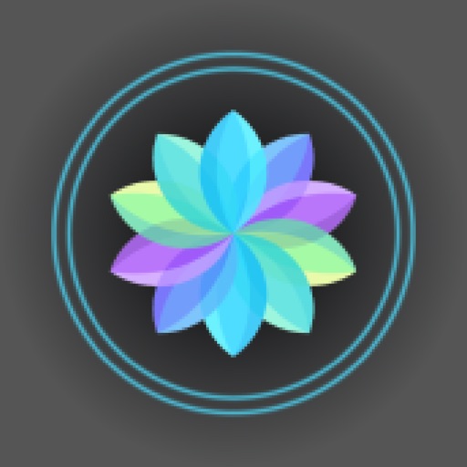 HaloStar Wallet