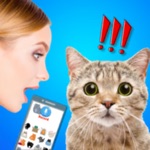 Cat Translate talk to Kitten