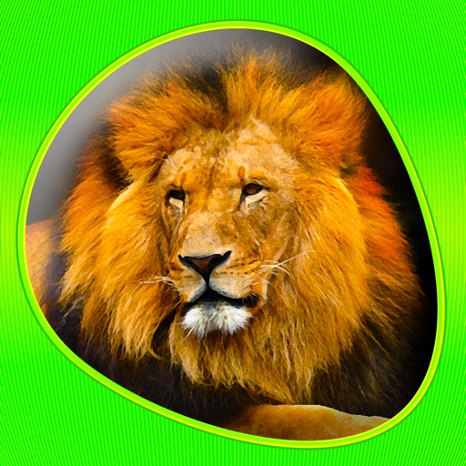 Animals 360 - Wildlife iOS App