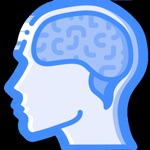 limitless - working memory