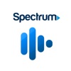 Spectrum Access: Enabled Media