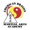 Icon American Dragon Martial Arts