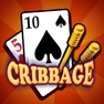 Get Cribbage Premium for iOS, iPhone, iPad Aso Report