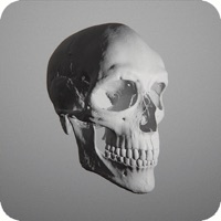 AR Scull Education apk