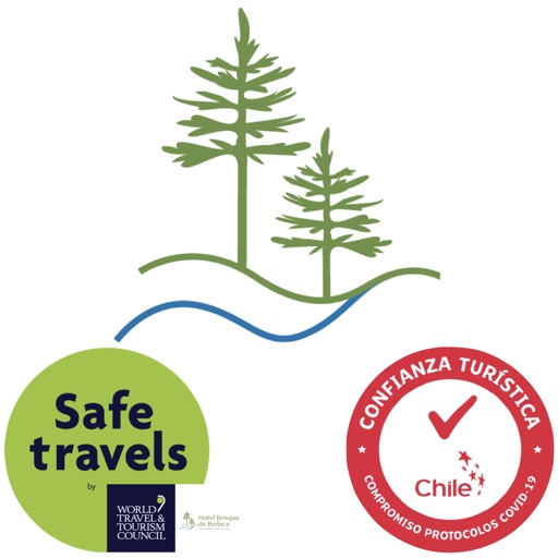 Hotel Bosque de Reñaca