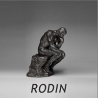 Rodin Museum Buddy app funktioniert nicht? Probleme und Störung