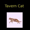 Tavern Cat