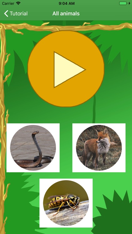 Animal Sounds for Kids - Learn screenshot-4