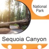 Sequoia Canyon National Park