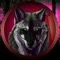 Icon Wild Wolf Simulator 3d Game