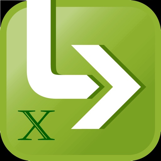 LeadValu X