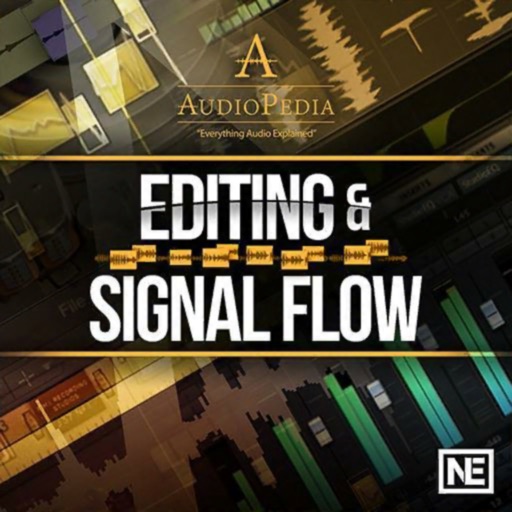 Editing and Signal Flow Guide