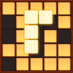 Wood Block Puzzle - Brain Game