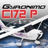 C172P Performance Pad